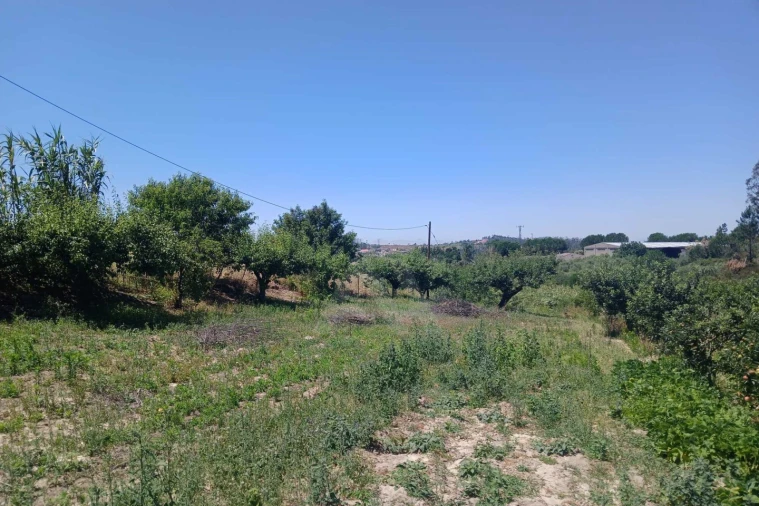 Terreno para Venda em Leiria, Pousos, Barreira e Cortes Foto 8