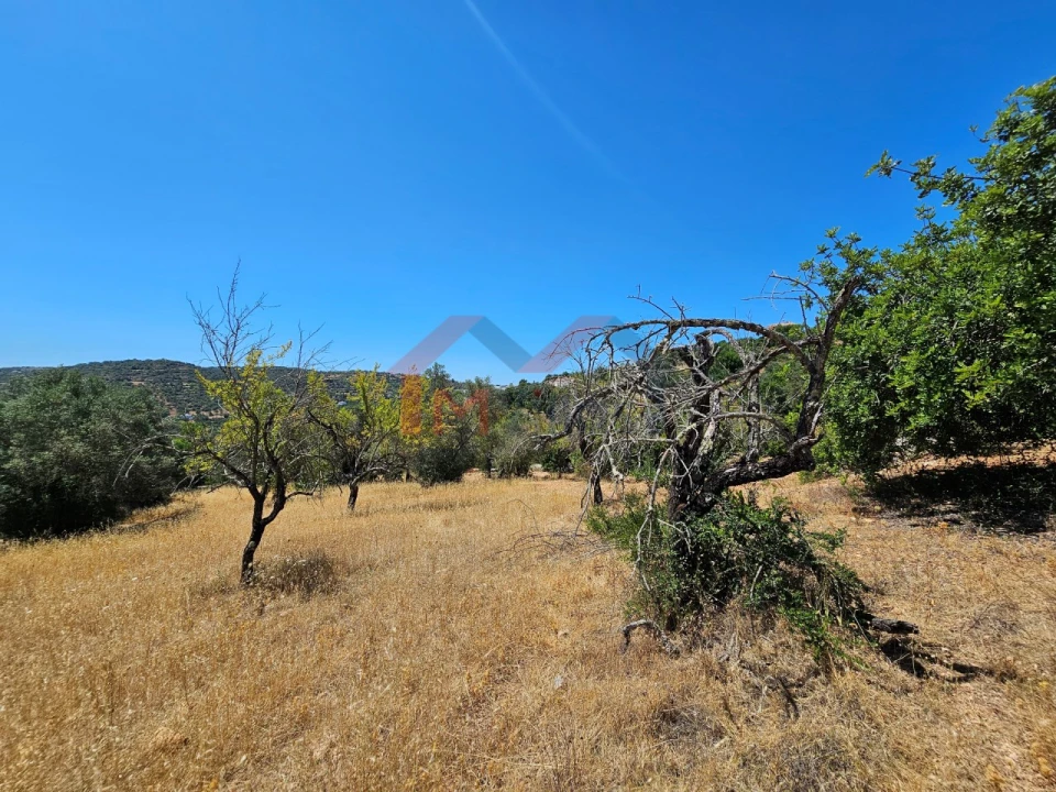 Terreno para Venda em Loule (São Sebastião) Foto 1