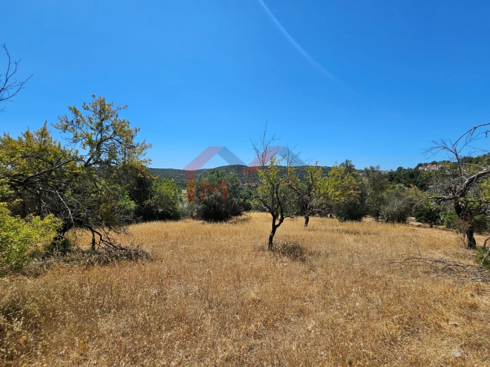 Terreno para Venda em Loule (São Sebastião) Foto 2