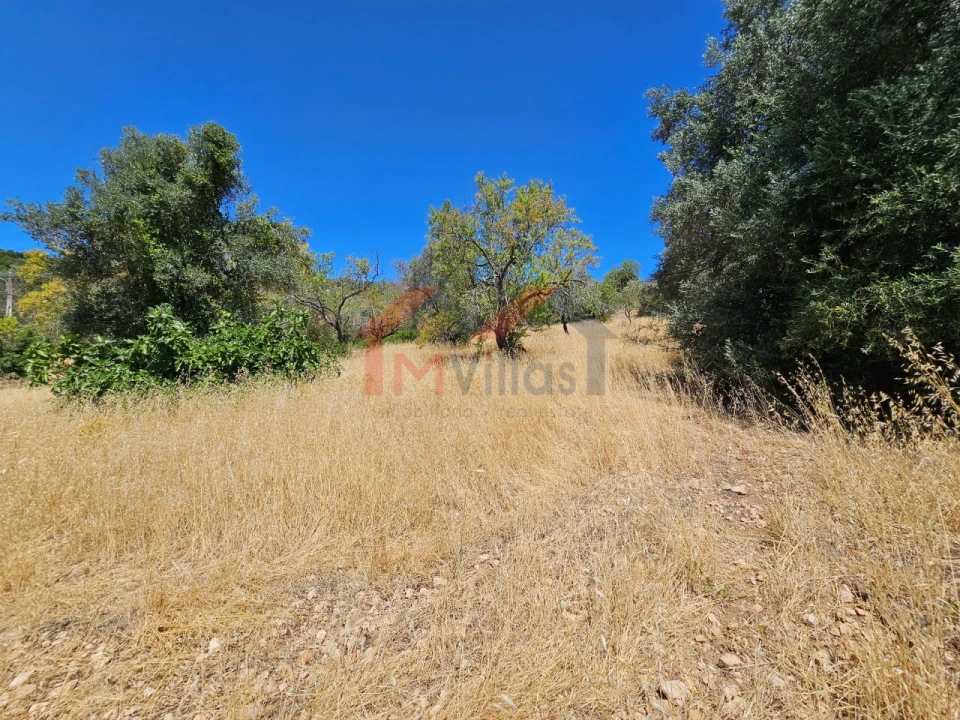 Terreno para Venda em Loule (São Sebastião) Foto 3