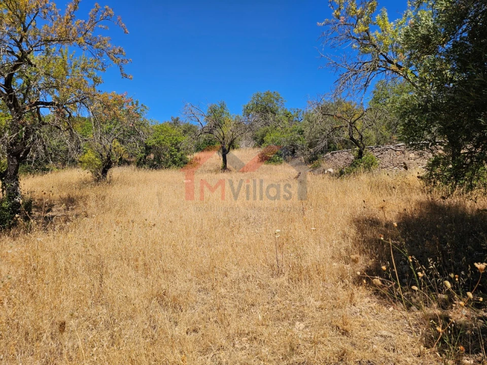 Terreno para Venda em Loule (São Sebastião) Foto 7
