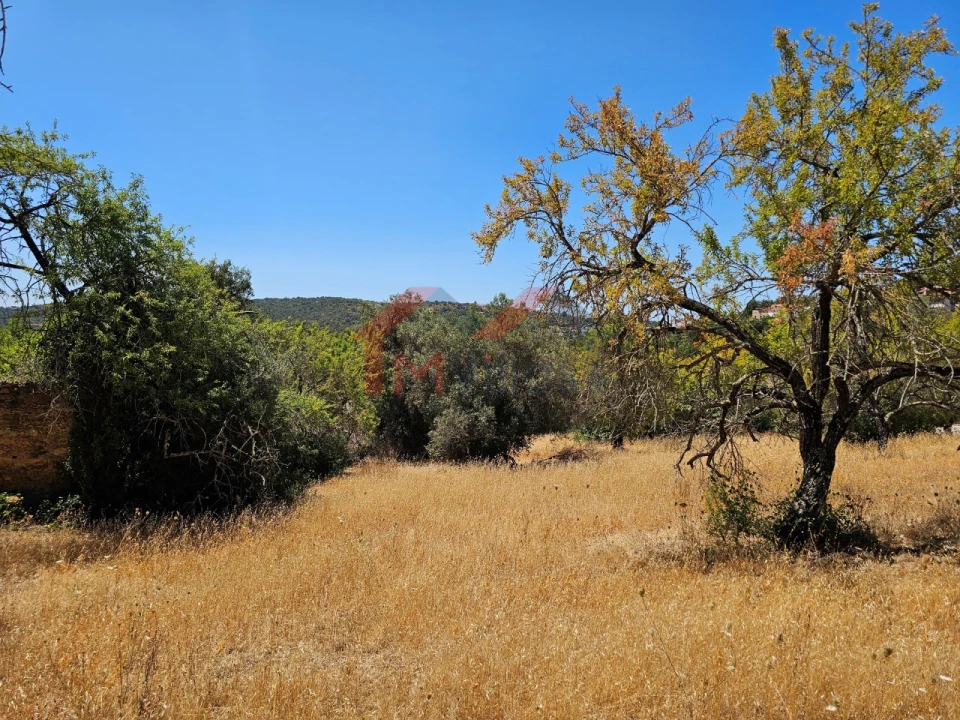 Terreno para Venda em Loule (São Sebastião) Foto 9