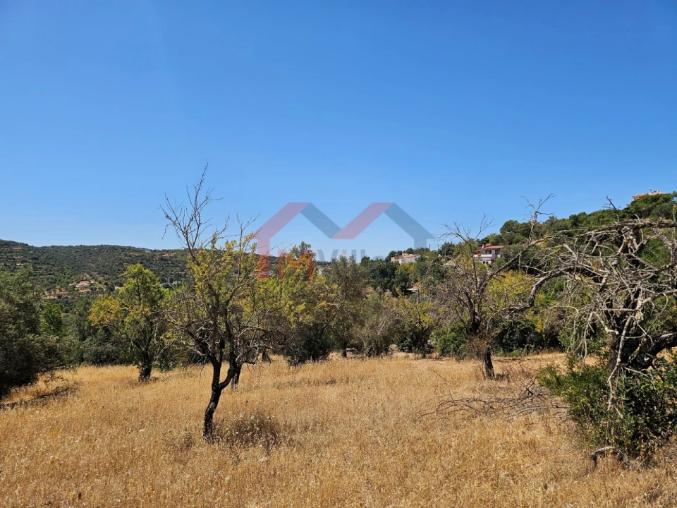 Terreno para Venda em Loule (São Sebastião) Foto 10