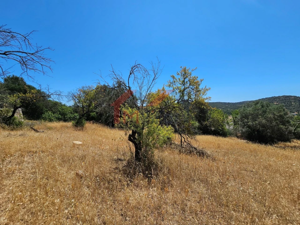Terreno para Venda em Loule (São Sebastião) Foto 12