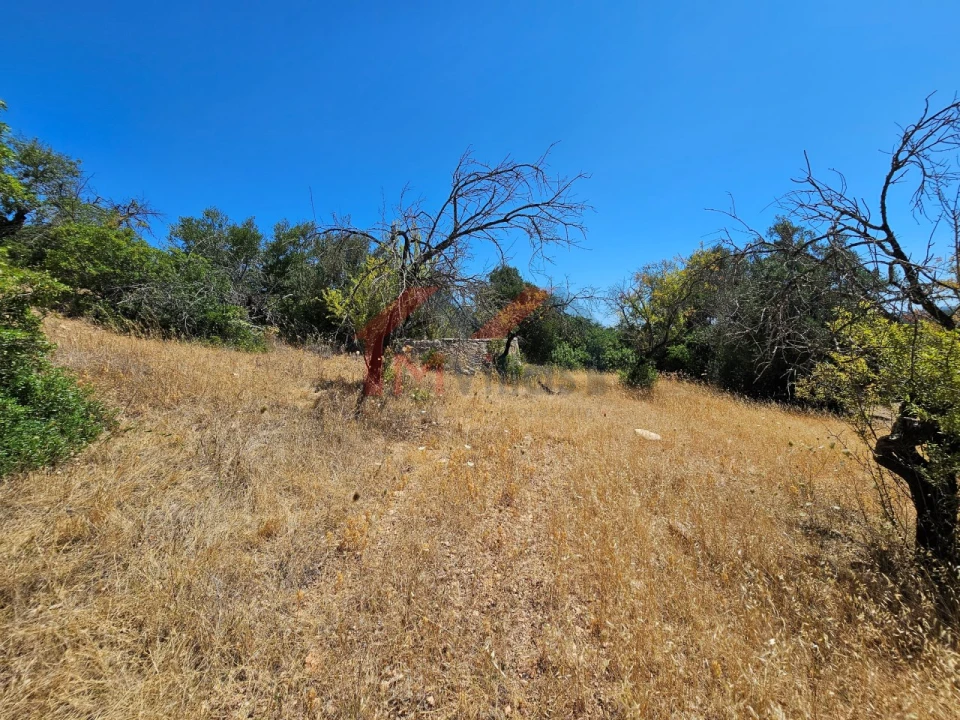 Terreno para Venda em Loule (São Sebastião) Foto 14