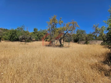 Terreno para Venda em Loule (São Sebastião)