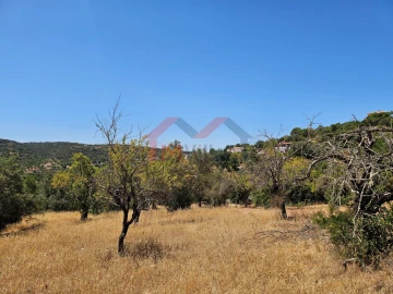 Terreno para Venda em Loule (São Sebastião)
