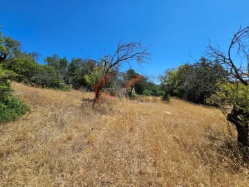 Terreno para Venda em Loule (São Sebastião)