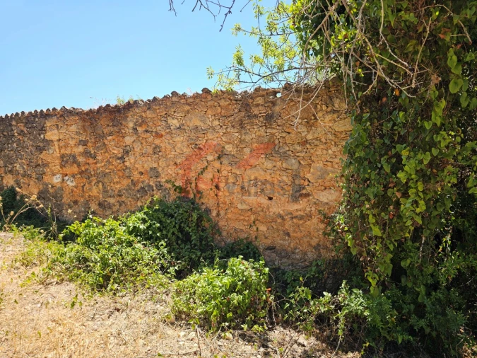 Terreno para Venda em Loule (São Sebastião) Foto 6