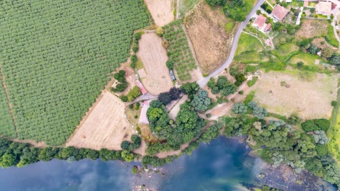 Quinta para Venda em Barreiros