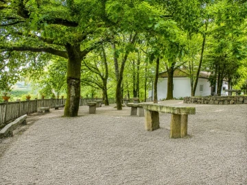 Quinta para Venda em Barreiros