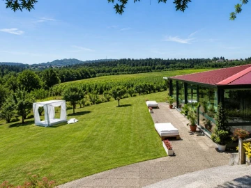 Quinta para Venda em Barreiros