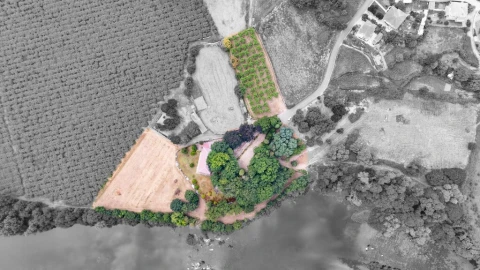 Quinta para Venda em Barreiros