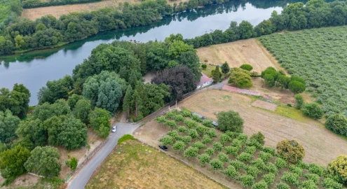 Quinta para Venda em Barreiros