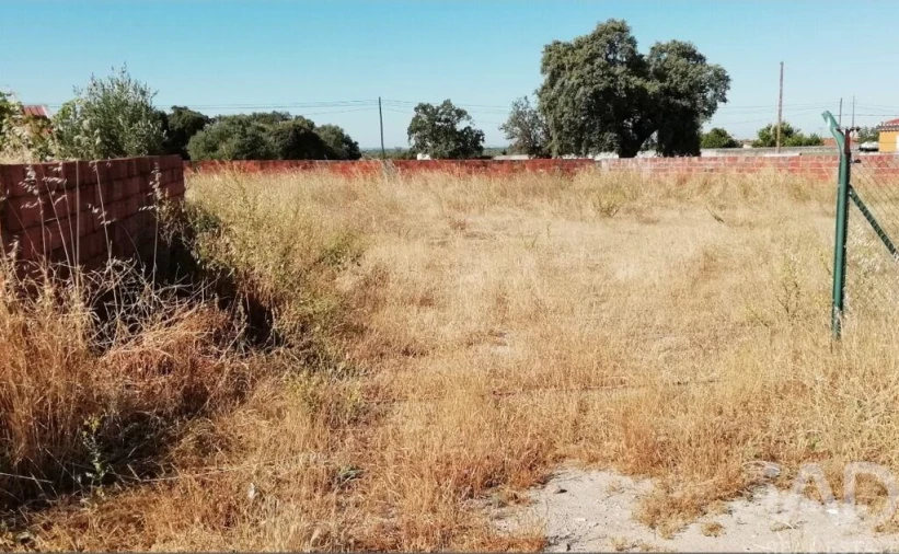 Terreno para Venda em Cano Foto 4