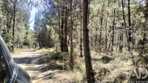 Terreno para Venda em Andrães
