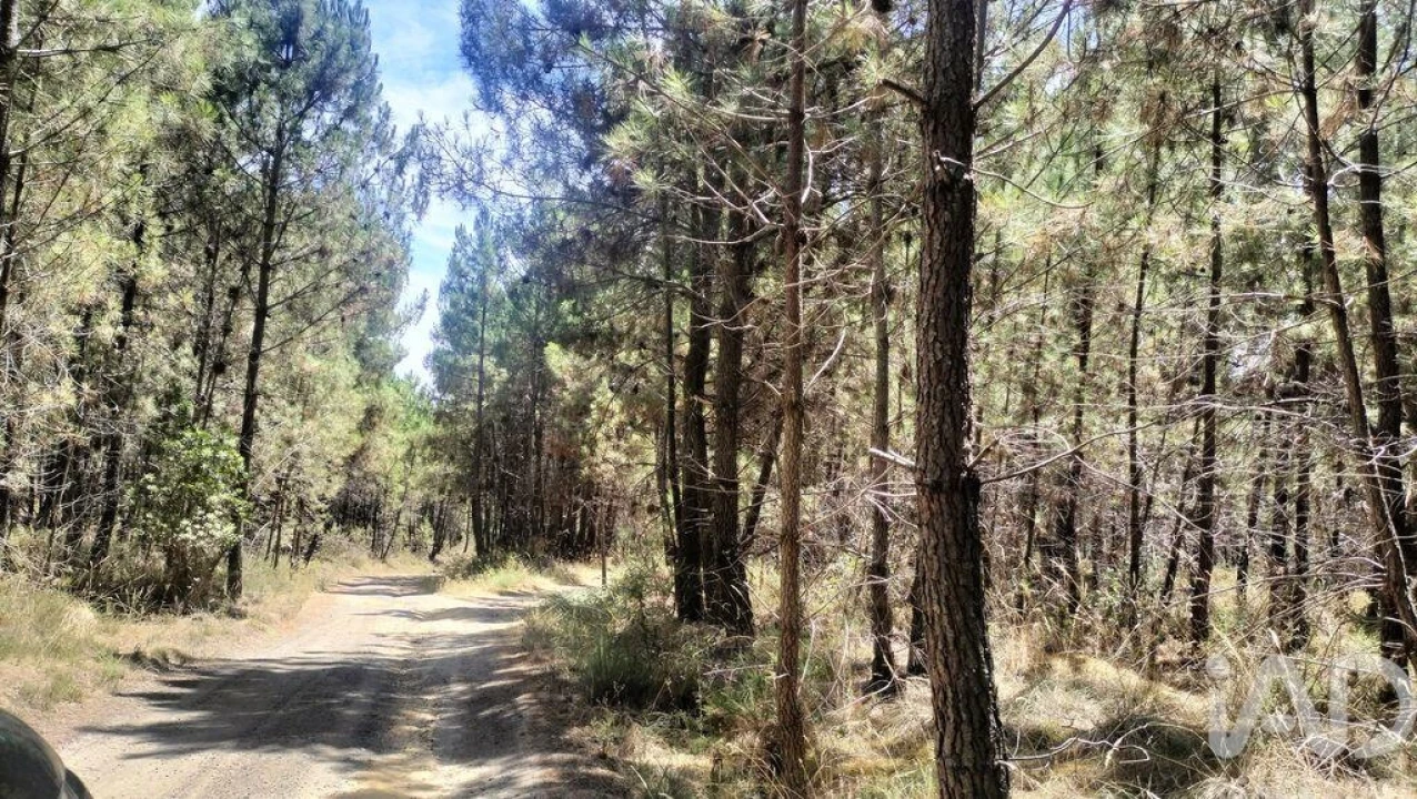 Terreno para Venda em Andrães Foto 1