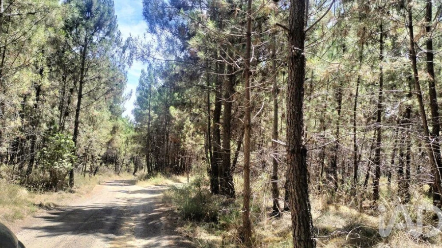 Terreno para Venda em Andrães
