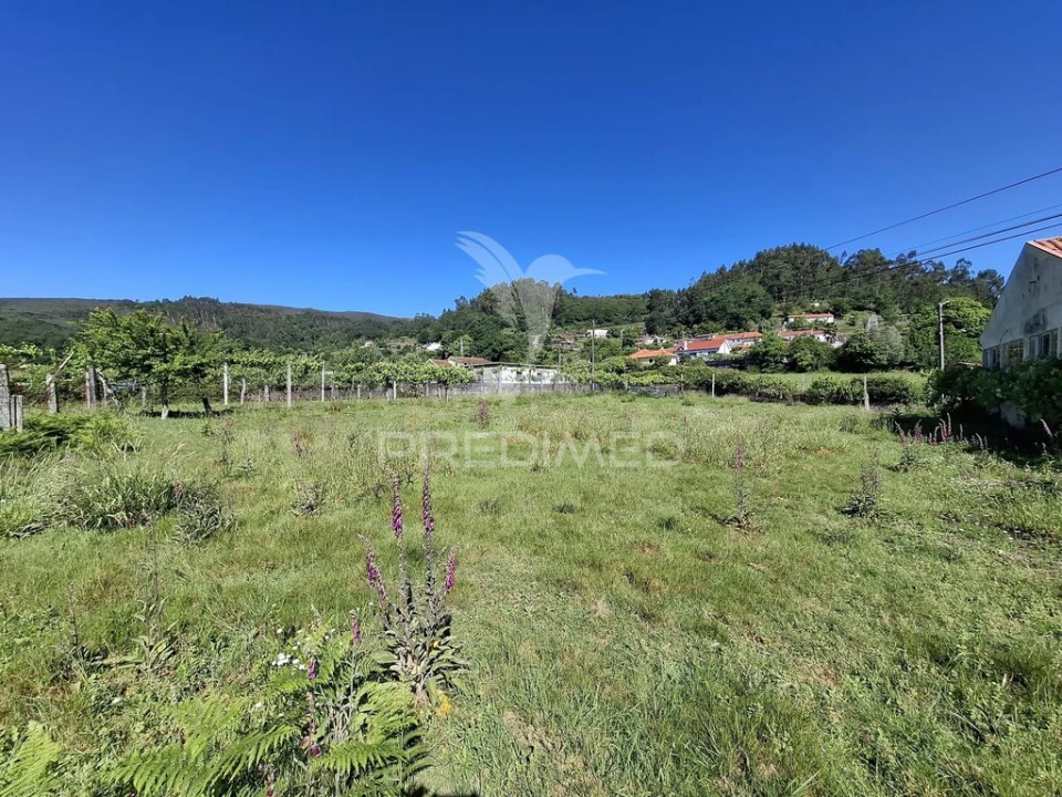 Terreno para Venda em Valbom (São Pedro), Passô e Valbom (São Martinho) Foto 11