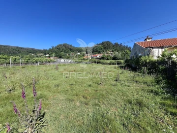 Terreno para Venda em Valbom (São Pedro), Passô e Valbom (São Martinho)