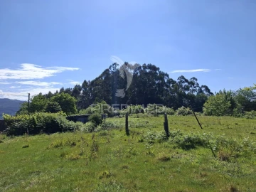 Terreno para Venda em Valbom (São Pedro), Passô e Valbom (São Martinho)