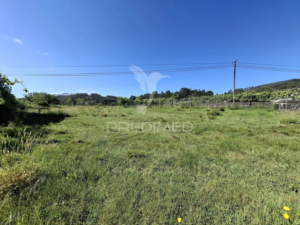 Terreno para Venda em Valbom (São Pedro), Passô e Valbom (São Martinho) Foto 7