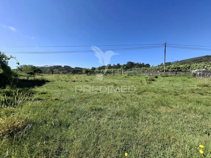 Terreno para Venda em Valbom (São Pedro), Passô e Valbom (São Martinho) Foto 7