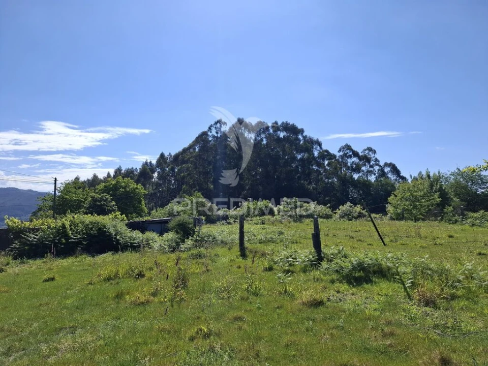 Terreno para Venda em Valbom (São Pedro), Passô e Valbom (São Martinho) Foto 17
