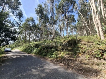 Terreno para Venda em Valbom (São Pedro), Passô e Valbom (São Martinho)