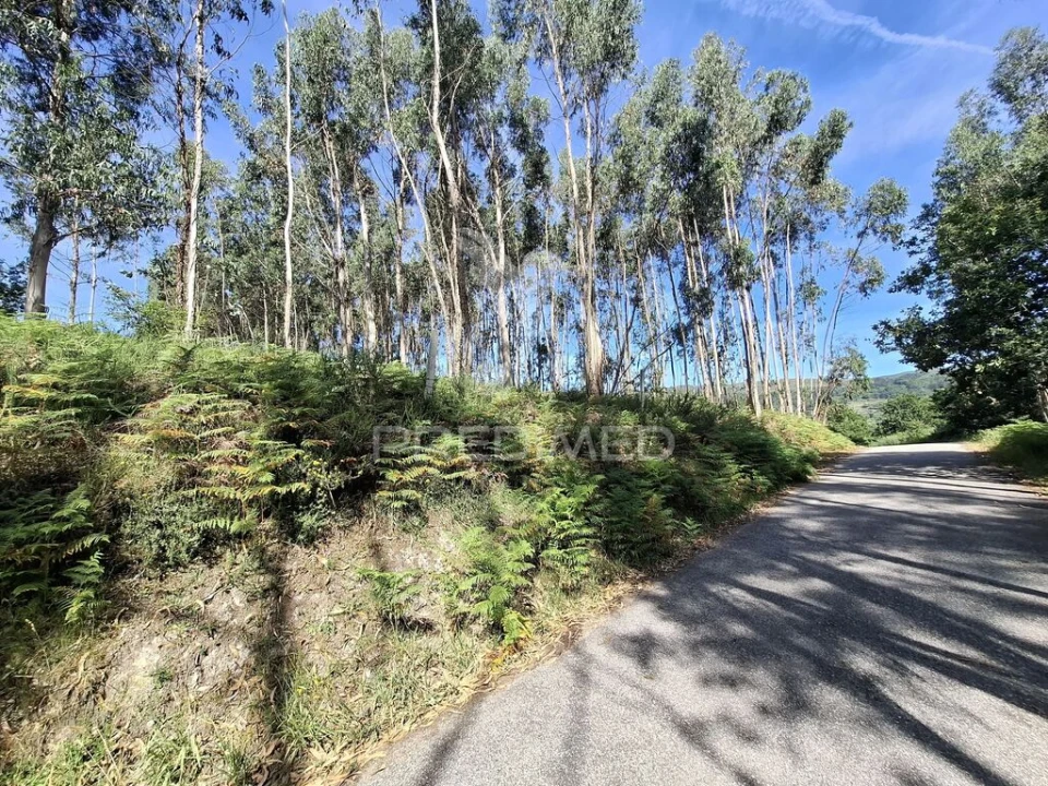 Terreno para Venda em Valbom (São Pedro), Passô e Valbom (São Martinho) Foto 1