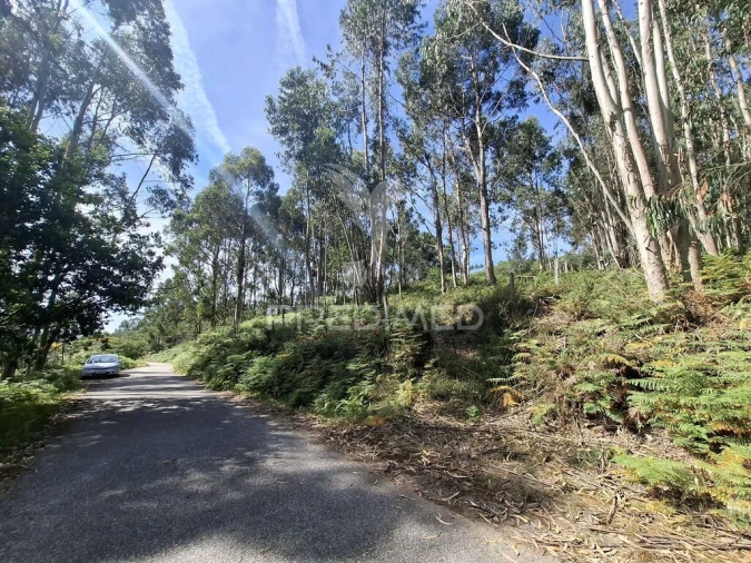 Terreno para Venda em Valbom (São Pedro), Passô e Valbom (São Martinho) Foto 6