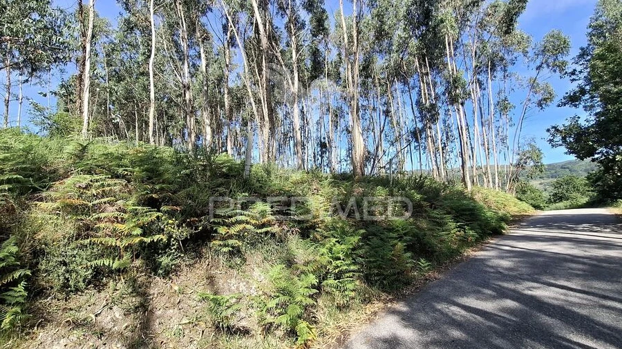 Terreno para Venda em Valbom (São Pedro), Passô e Valbom (São Martinho)