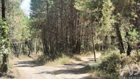 Terreno para Venda em Andrães