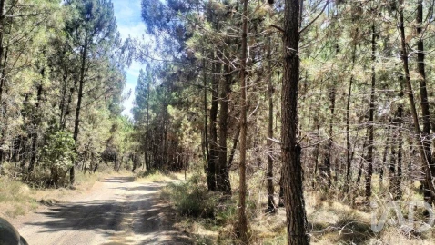 Terreno para Venda em Andrães
