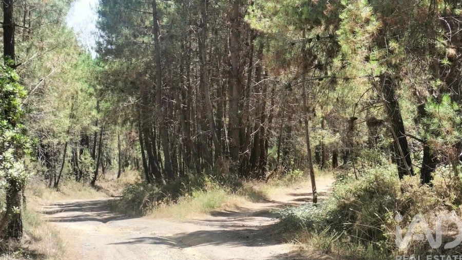 Terreno para Venda em Andrães