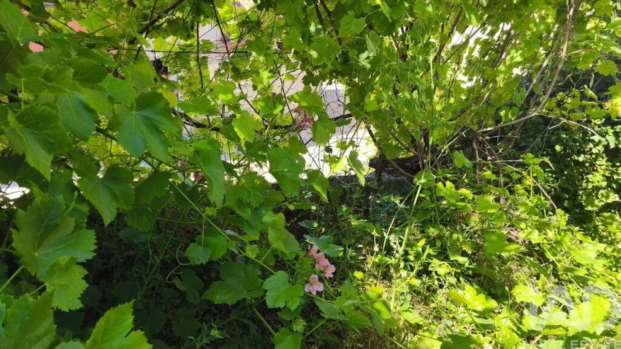 Moradia para Venda em Seixo da Beira Foto 8