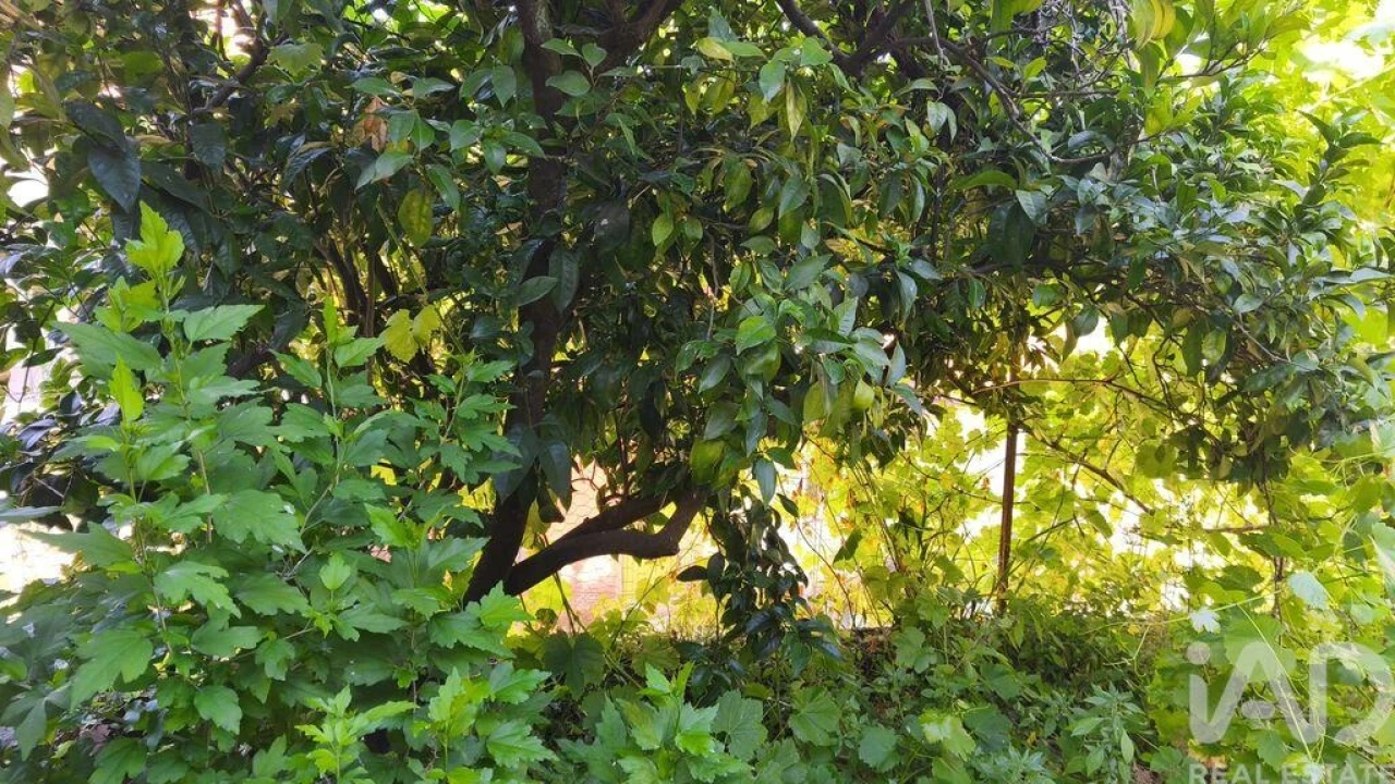 Moradia para Venda em Seixo da Beira Foto 3