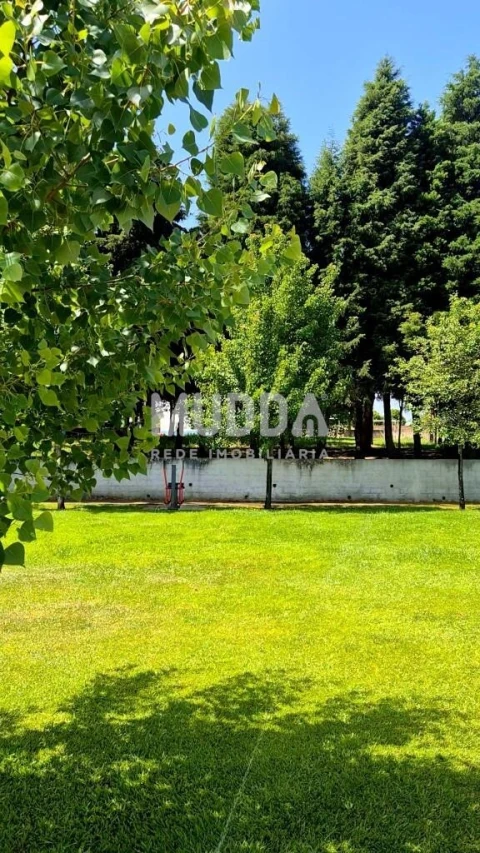 Terreno para Venda em Valongo do Vouga