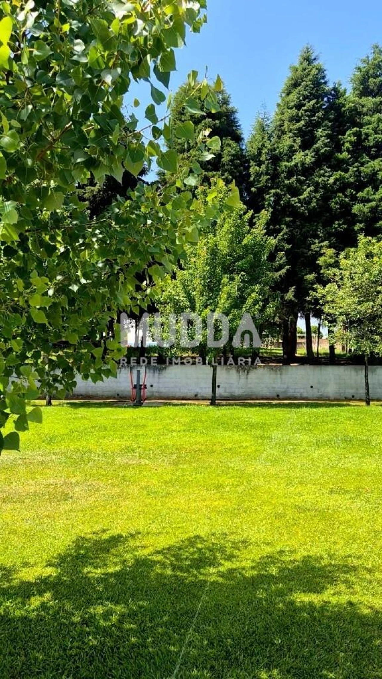 Terreno para Venda em Valongo do Vouga Foto 5