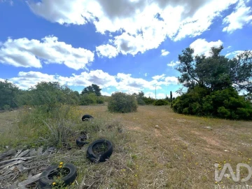 Terreno para Venda em Santa Barbara de Nexe
