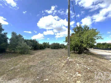 Terreno para Venda em Santa Barbara de Nexe