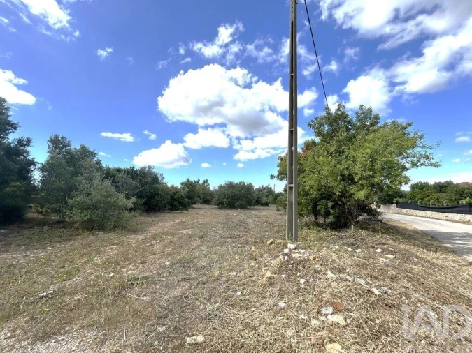 Terreno para Venda em Santa Barbara de Nexe Foto 12