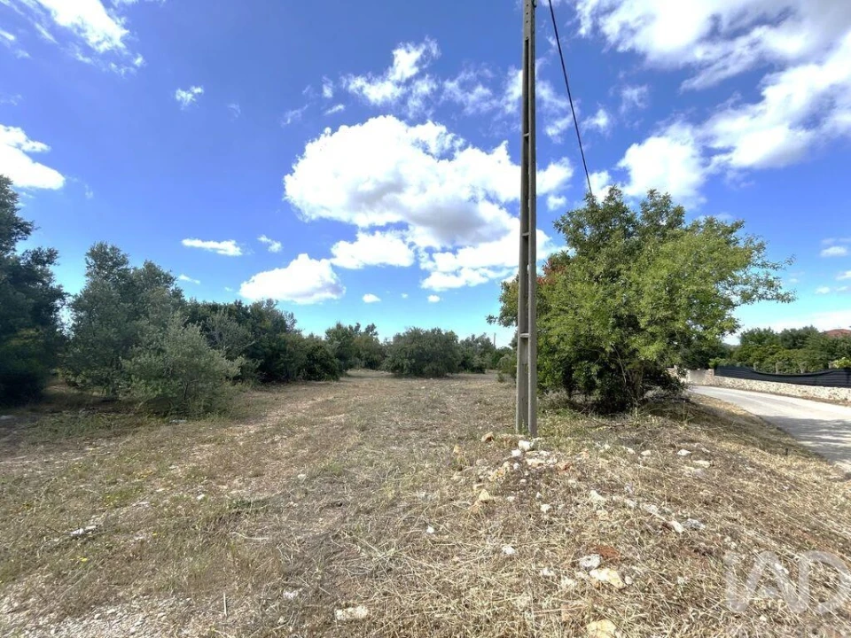 Terreno para Venda em Santa Barbara de Nexe Foto 12