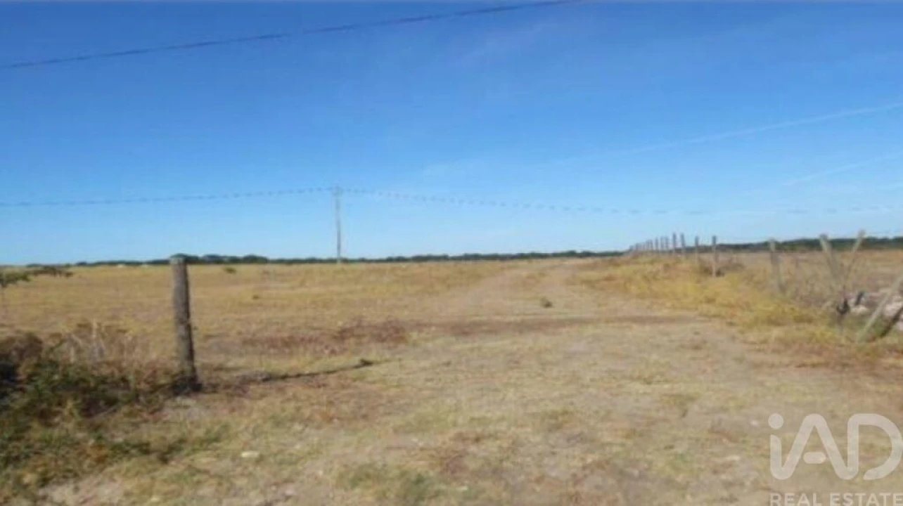 Terreno para Venda em São Bento do Cortiço e Santo Estêvão Foto 3