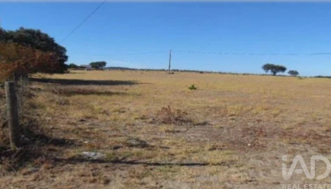 Terreno para Venda em São Bento do Cortiço e Santo Estêvão
