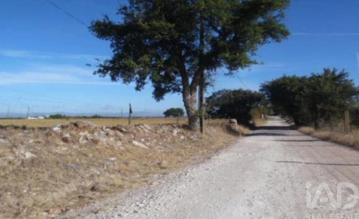Terreno para Venda em São Bento do Cortiço e Santo Estêvão Foto 4
