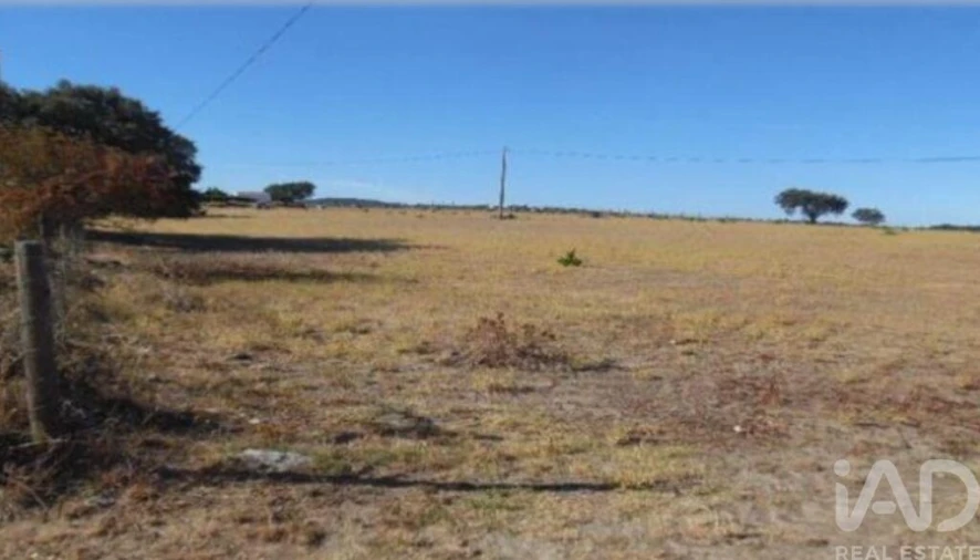 Terreno para Venda em São Bento do Cortiço e Santo Estêvão Foto 2