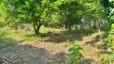 Moradia T5 para Venda em Lemenhe, Mouquim e Jesufrei