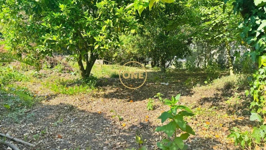 Moradia T5 para Venda em Lemenhe, Mouquim e Jesufrei Foto 10