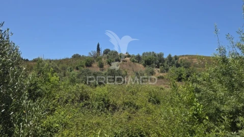 Quinta T4 para Venda em São Marcos da Serra